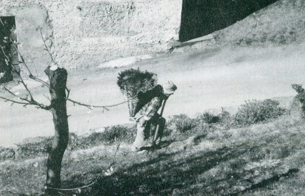 1.2 - Contadino con la gerla sui monti di Tirano. Foto di J.Templeton